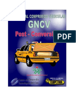 Manual de Post Conversion gnv