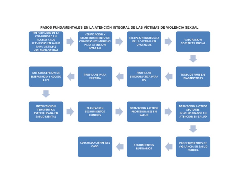 Pasos Fundamentales en La Atención Integral de Las Víctimas de ...