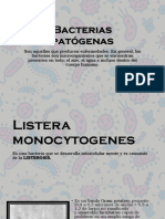 Bacterias patógenas.pptx