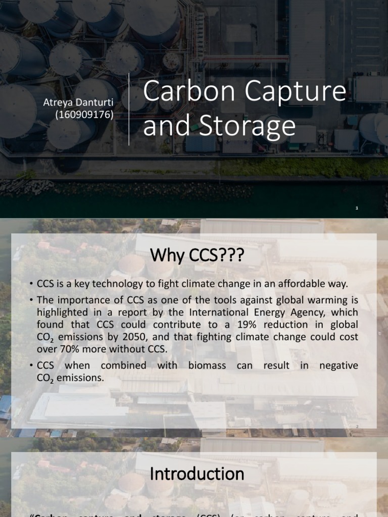 Carbon Capture and Storage Overview | PDF | Carbon Capture And Storage ...