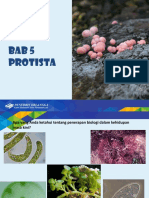 BAB 5 Protista