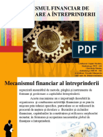 Mecanismul financiar(1).pptx