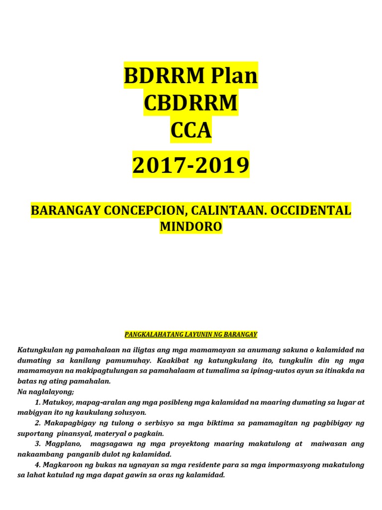 Barangay CBDRRM Plan Overview | PDF | Emergency Management | Disaster ...