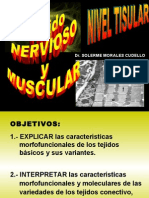 Tema Tejido Nervioso y Muscular