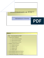 ___Direccionamientos.pdf