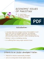 Economic Issues of Pakistan & Solutions