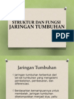 Jaringan Tumbuhan