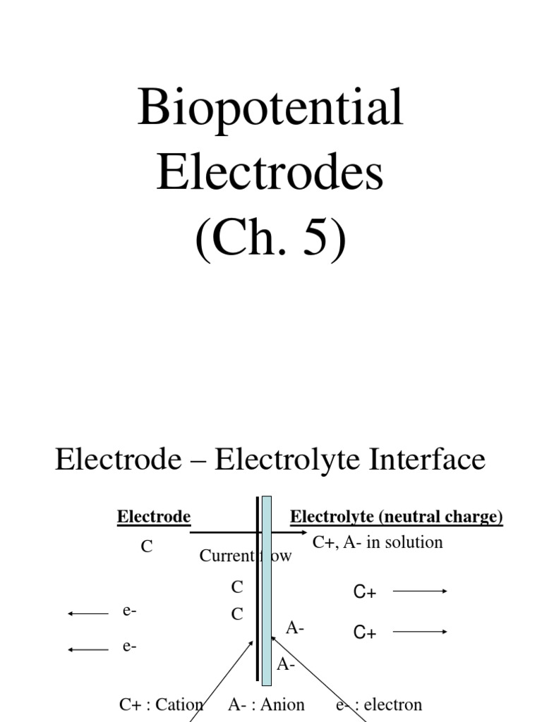 Electrode Fundamentals Understanding the ElectrodeElectrolyte