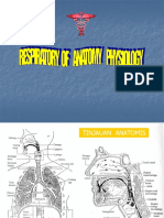 Anatomi Fisiologi Sistem Pernafasan