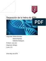informe biologia.docx
