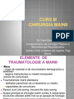 Curs 3 - Chirurgia Mainii-2