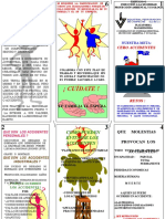 Triptico Induccion A La Seguridad