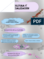 Cultura y socialización: elementos, procesos y funciones