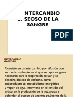 Intercambio gaseoso pulmonar: oxígeno a sangre y CO2 fuera