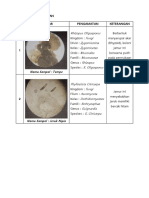 LLangkah Kerja Dan Hasil Pengamatan BLJ 1 DAN 2