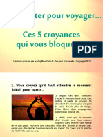 5 Fausses Croyances Sur Le Travail en Voyage PDF
