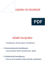 Kemiklesme Ve Eklemler