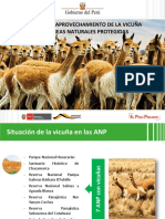 Manejo de Vicuñas Anp Sernanp PDF