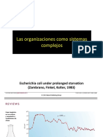 Las Organizaciones Como Sistemas Complejos