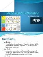 Molecules of Life: Carbs, Lipids, Proteins & Enzymes
