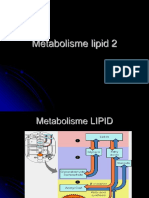 Metabolisme Lipid .2018