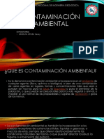 Contaminación Ambiental Trabajo Final