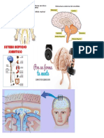 Neuro Imagen