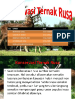 INDRY Rusa