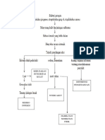 Pathway Selulitis