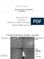 David - Teis@I-Med - Ac.At: David Teis, PHD Biocenter Membrane Traffic and Signaling Group
