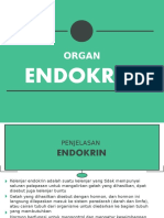 Organ Endokrin