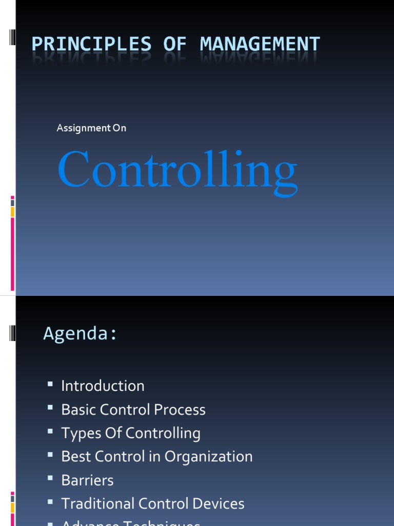 Effective Organizational Control Techniques | PDF | Business | Economies
