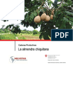 La Almendra Chiquitana PDF