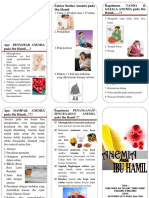 Leaflet Anemia Pada Ibu Hamil