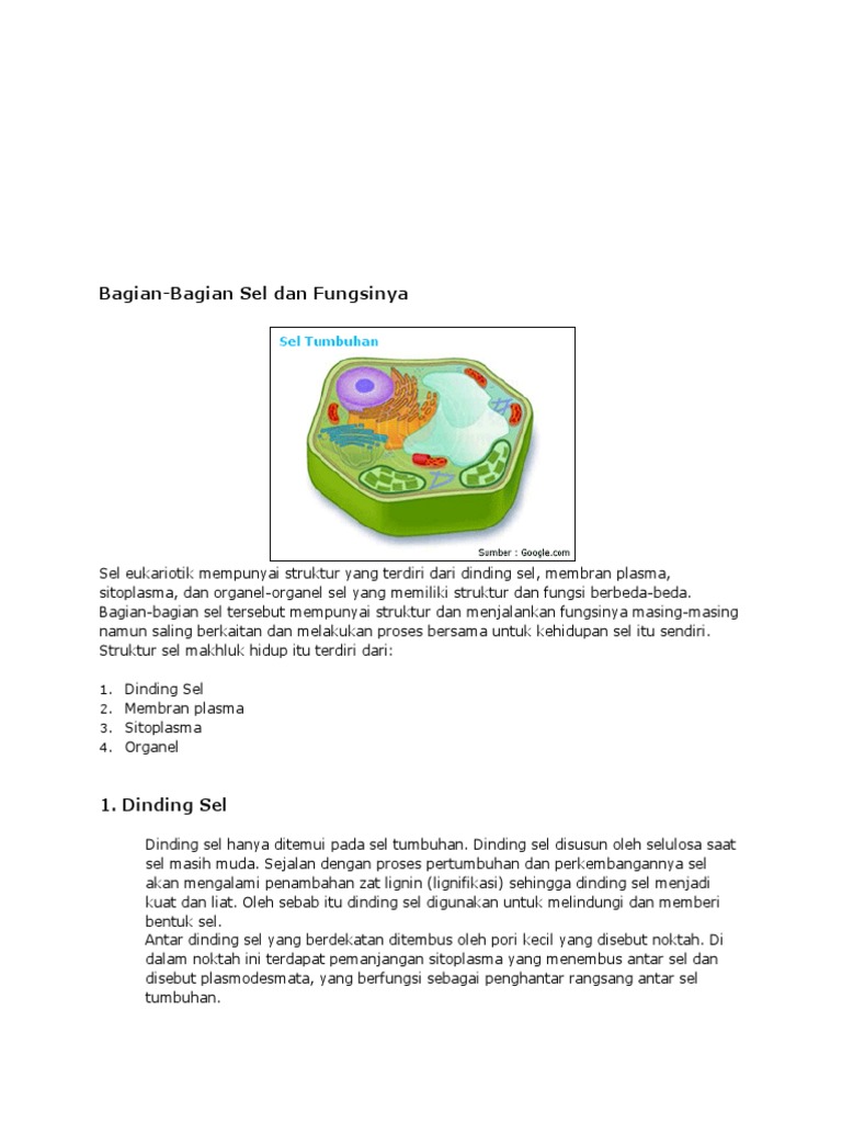 Bagian Sel