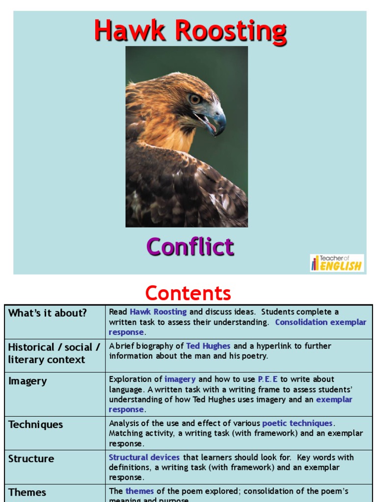 Hawk Roosting Ted Hughes Poetry Anthropomorphism