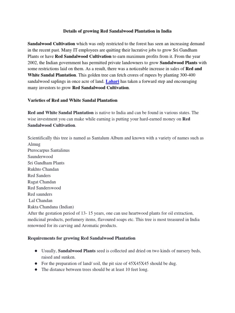 Details Of Growing Red Sandalwood Plantation In India Trees Botany