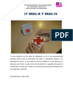 5. TEST DE WISC-R Y WISC-IV