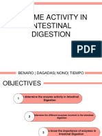 Enzyme Activity in Intestinal Digestion