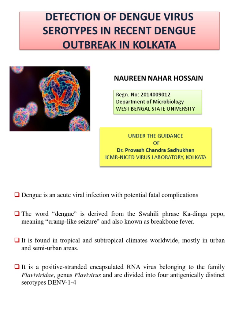 Detection of Dengue Virus Serotypes in Recent Dengue | PDF | Self ...
