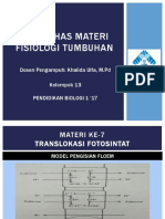 PPT