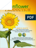 Sunflower Production (Final) PPT - Compressed PDF