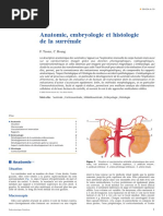 Anatomie, Embryologie Et Histologie De La Surrénale