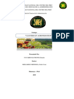 CLUSTER EN AGRONEGOCIOS-BRANLER NAVARRO.docx