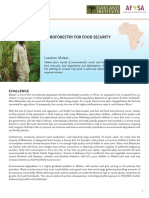 Food_Security_Malawi.pdf
