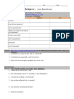 Bacteria and Virus Web Quest by Robert Rodriguez