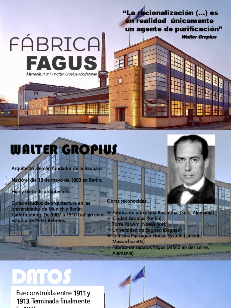 hemd kaktus Kaktus-Hemd – PXP