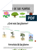 El mundo de las plantas 2