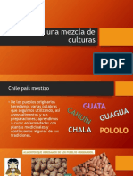 Ppt Chile Un País Mestizo 1