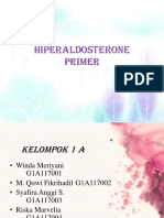 Hiperaldosterone Primer